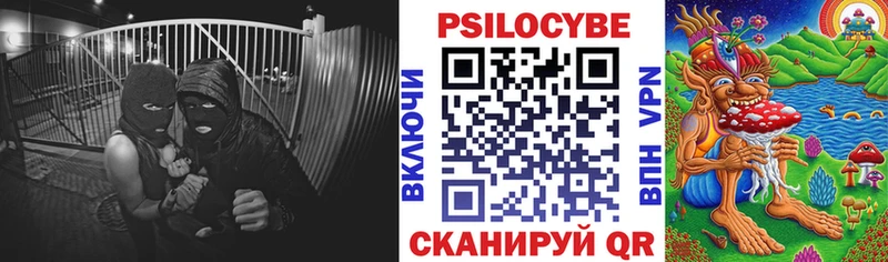 где купить   блэк спрут сайт  Галлюциногенные грибы прущие грибы  Староминская 
